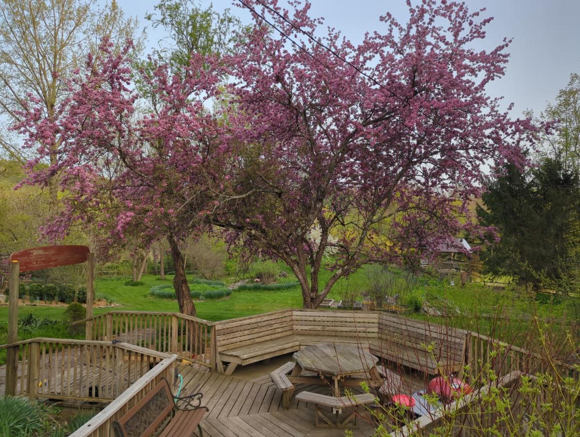 Wildflower Cottage Oxford Экстерьер фото