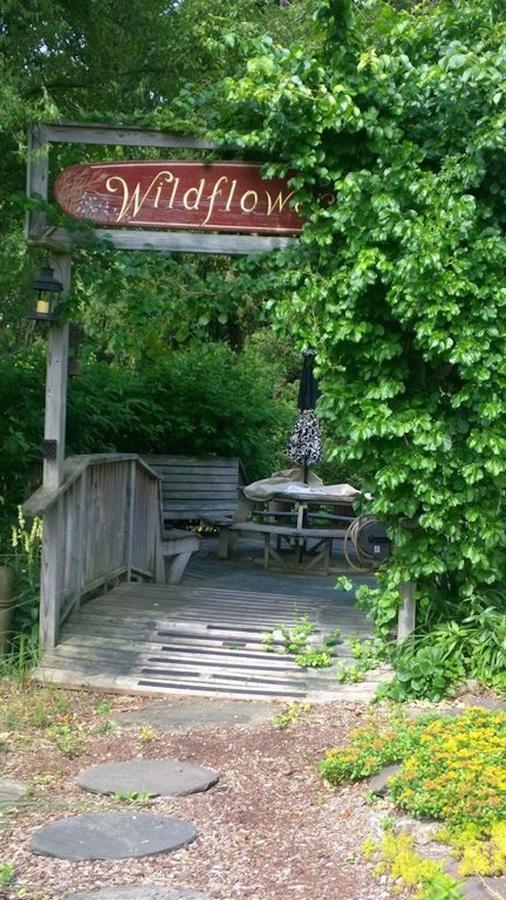 Wildflower Cottage Oxford Экстерьер фото
